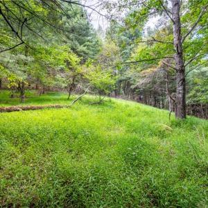 Photo #12 of Cox Store, Floyd, VA 24.1 acres