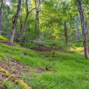 Photo #22 of Cox Store, Floyd, VA 24.1 acres