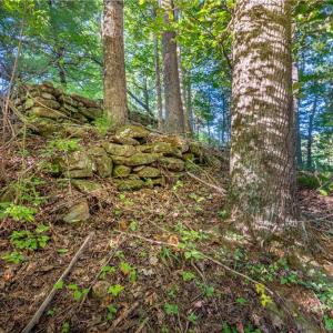 Photo #36 of Cox Store, Floyd, VA 24.1 acres