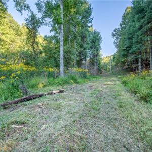 Photo #5 of Cox Store, Floyd, VA 24.1 acres