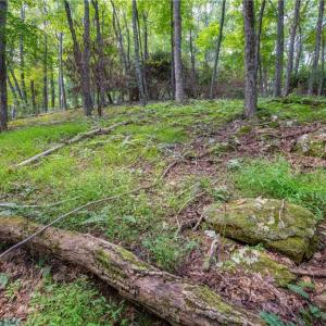 Photo #20 of Cox Store, Floyd, VA 24.1 acres