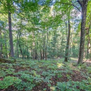 Photo #24 of Cox Store, Floyd, VA 24.1 acres