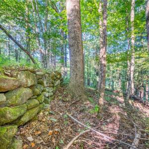 Photo #34 of Cox Store, Floyd, VA 24.1 acres