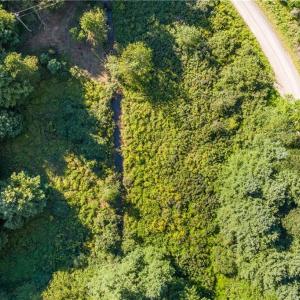 Photo #38 of Cox Store, Floyd, VA 24.1 acres