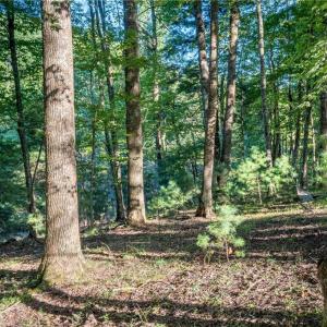 Photo #33 of Cox Store, Floyd, VA 24.1 acres