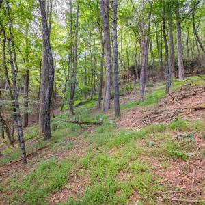 Photo #18 of Cox Store, Floyd, VA 24.1 acres