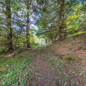 Photo #11 of Cox Store, Floyd, VA 24.1 acres