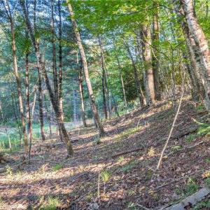Photo #31 of Cox Store, Floyd, VA 24.1 acres