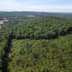 Photo #17 of 2272 Doul Mountain, Asheboro, NC 79.4 acres