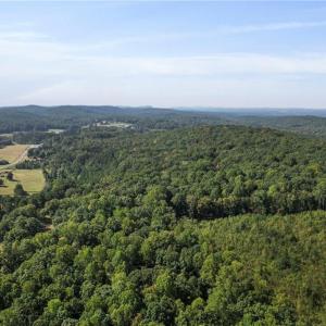 Photo #12 of 2272 Doul Mountain, Asheboro, NC 79.4 acres