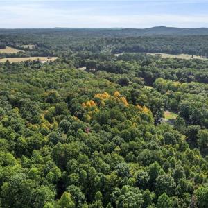 Photo #26 of 2272 Doul Mountain, Asheboro, NC 79.4 acres