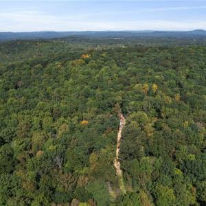 Photo #4 of 2272 Doul Mountain, Asheboro, NC 79.4 acres