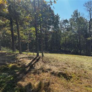 Photo #6 of 803 Birch Bark, Greensboro, NC 1.8 acres