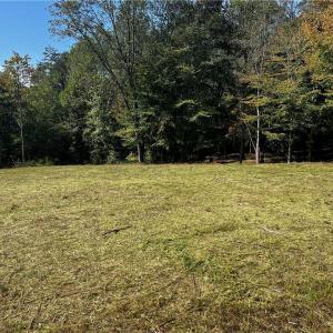 Photo #3 of 803 Birch Bark, Greensboro, NC 1.8 acres