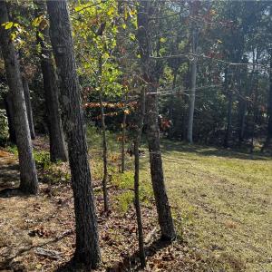 Photo #4 of 803 Birch Bark, Greensboro, NC 1.8 acres