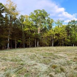 Photo #2 of Thayer, Trinity, NC 22.1 acres