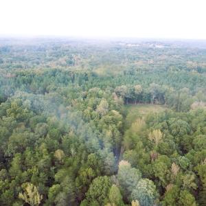 Photo #6 of Thayer, Trinity, NC 22.1 acres