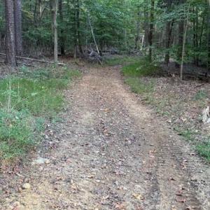 Photo #7 of Thayer, Trinity, NC 22.1 acres