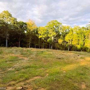 Photo #3 of Thayer, Trinity, NC 22.1 acres