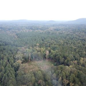 Photo #5 of Thayer, Trinity, NC 22.1 acres