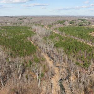 Photo #11 of 2630 Minden, Pleasant Garden, NC 18.3 acres