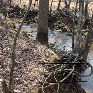 Photo #17 of 2630 Minden, Pleasant Garden, NC 18.3 acres