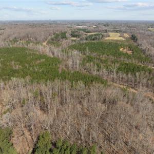 Photo #12 of 2630 Minden, Pleasant Garden, NC 18.3 acres