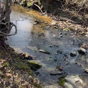Beautiful Flowing Creek