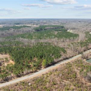 Photo #1 of 2636 Minden, Pleasant Garden, NC 29.8 acres