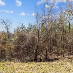 Photo #14 of 2636 Minden, Pleasant Garden, NC 29.8 acres
