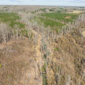 Photo #11 of 2636 Minden, Pleasant Garden, NC 29.8 acres