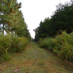 Photo #14 of 1077 Smothers, Madison, NC 25.5 acres