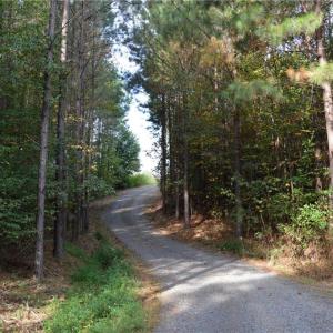 Photo #18 of 1077 Smothers, Madison, NC 25.5 acres