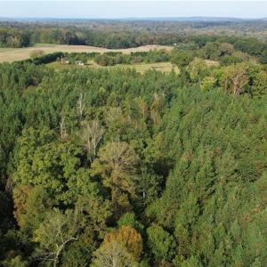 Photo #11 of 1077 Smothers, Madison, NC 25.5 acres