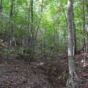 Photo #40 of 1077 Smothers, Madison, NC 25.5 acres