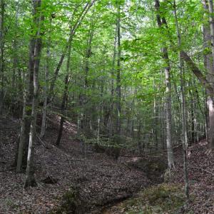 Photo #39 of 1077 Smothers, Madison, NC 25.5 acres