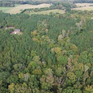 Photo #4 of 1077 Smothers, Madison, NC 25.5 acres