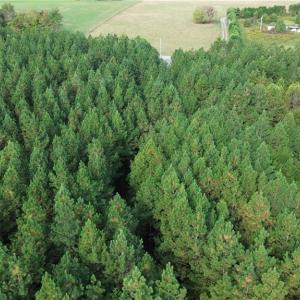 Photo #8 of 1077 Smothers, Madison, NC 25.5 acres