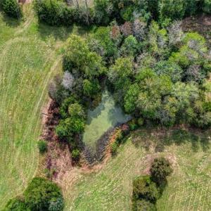 Photo #2 of Spice, Reidsville, NC 13.5 acres