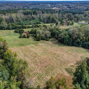 Photo #12 of Spice, Reidsville, NC 13.5 acres