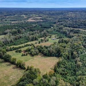 Photo #8 of Spice, Reidsville, NC 13.5 acres