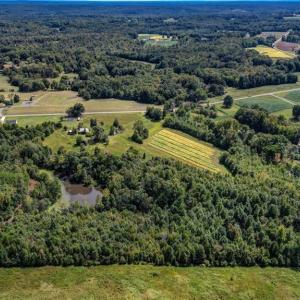 Photo #22 of 2094 Ashland, Ruffin, NC 29.5 acres