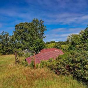 Photo #6 of 2094 Ashland, Ruffin, NC 29.5 acres