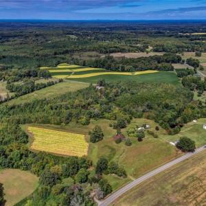 Photo #13 of 2094 Ashland, Ruffin, NC 29.5 acres