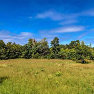 Photo #17 of 2094 Ashland, Ruffin, NC 29.5 acres