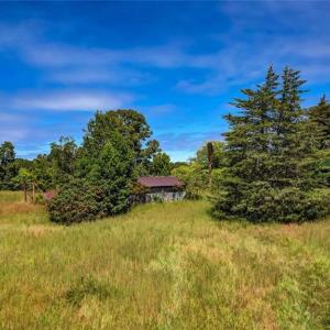 Photo #16 of 2094 Ashland, Ruffin, NC 29.5 acres