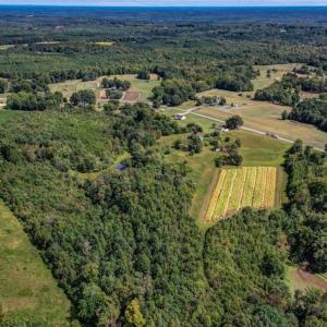 Photo #22 of 2094 Ashland, Ruffin, NC 29.5 acres