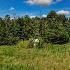 Photo #20 of 2094 Ashland, Ruffin, NC 29.5 acres