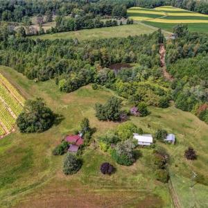 Photo #11 of 2094 Ashland, Ruffin, NC 29.5 acres