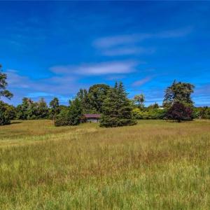 Photo #19 of 2094 Ashland, Ruffin, NC 29.5 acres